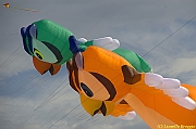 32 FESTIVAL CERVIA 2012 - 326